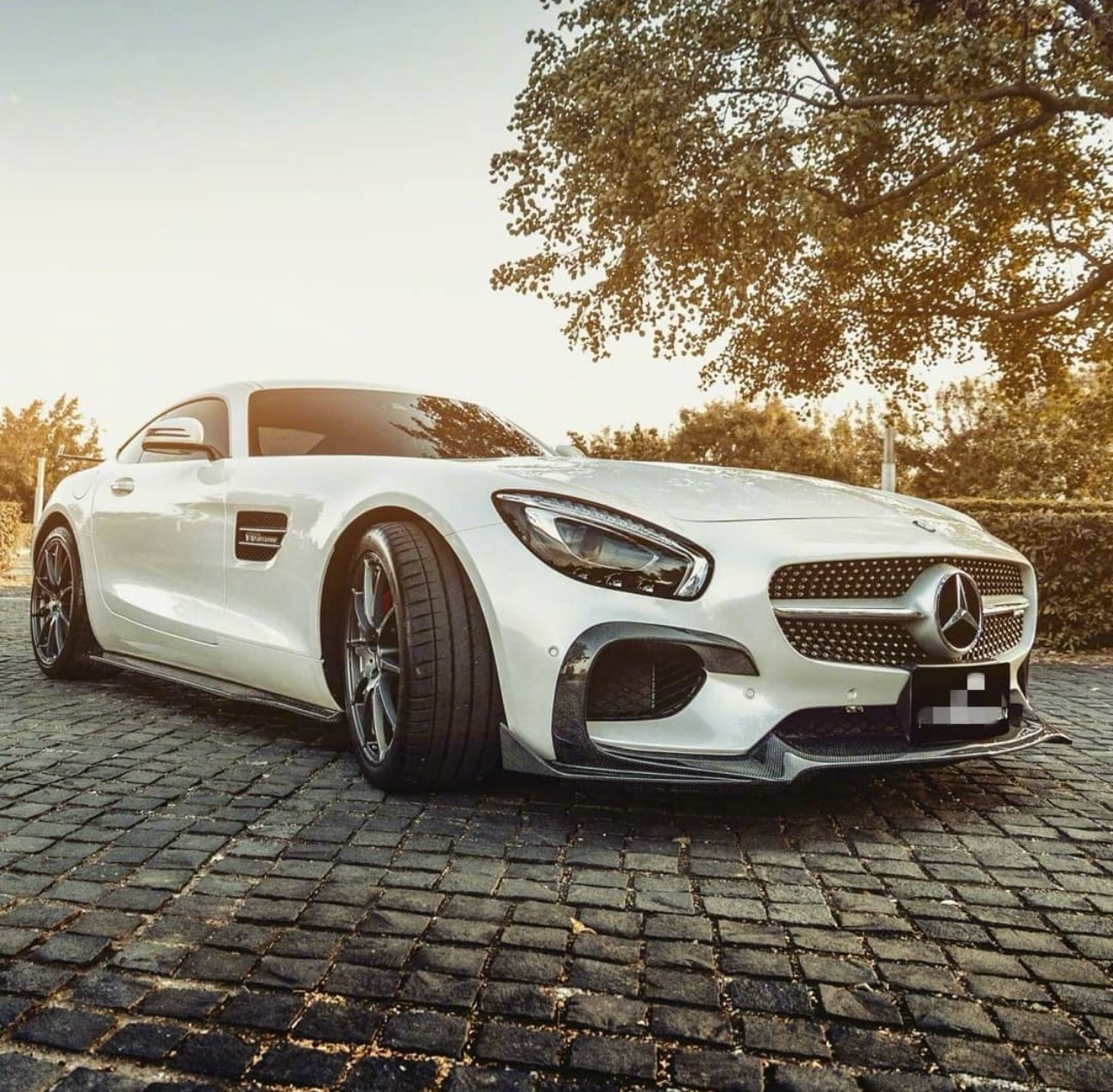 Mercedes-AMG GT / GTS (2015-2019) - Carbon Fiber Side Skirts - Exotics Carbon Design