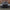 MSY-Style Carbon Fiber Vented Hood - Bentley Continental GT (2019–2025) - Exotics Carbon Design