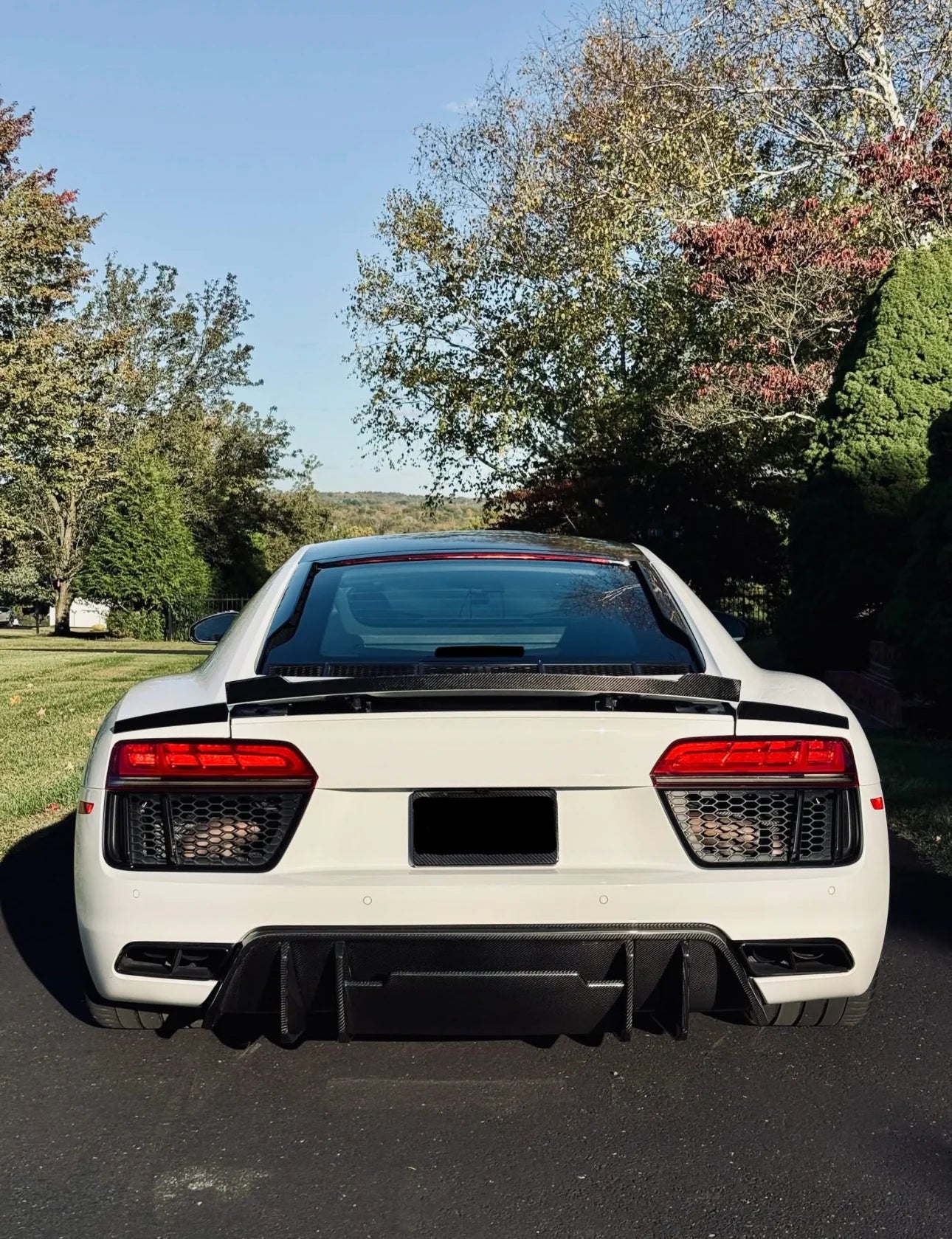 Audi R8 Gen 2 (2016-2019) - Carbon Fiber Trunk Spoiler - Exotics Carbon Design