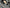 Carbon Fiber Door Sills - McLaren 720S (2017–2023) - Exotics Carbon Design