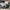 BMW M8 F91/F92/F93 - SQ Style Carbon Fiber Front Lip - Exotics Carbon Design