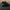 2019+ Audi RS6 C8 Avant – Carbon Fiber Front Lip - Exotics Carbon Design