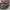Audi RS7 – Carbon Fiber Rear Diffuser (2019+) - Exotics Carbon Design
