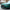 BMW M3/M4 G80/G82 - Carbon Fiber Front Grill - Exotics Carbon Design