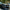 Dodge Charger – Carbon Fiber Layered Front Lip - Exotics Carbon Design