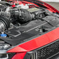 2024+ Ford Mustang S650 - Carbon Fiber Radiator Cover