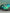 BMW G80 M3 / G82 M4 (2021–2025) – Carbon Fiber Rear Wing - Exotics Carbon Design