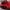 BMW G80 M3 / G82 M4 (2021–2025) – Track Inspired Carbon Fiber Rear Diffuser - Exotics Carbon Design