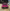 Carbon Fiber AD Style Rear Wing - Toyota GR86 / Subaru BRZ (2022–2025) - Exotics Carbon Design