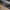 Carbon Fiber Door Switch Panel Covers – Toyota Supra A90/A91 (2019–2024) - Exotics Carbon Design