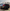 Carbon Fiber Rear Diffuser - BMW M3/M4 (F80/F82/F83)  2015-2020 - Exotics Carbon Design