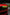 Archaic Colorful DRL Front Light with RGB Animation – Ford Mustang 2024+ - Exotics Carbon Design