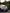 Mercedes-Benz C63 (2015-2021) - Carbon Fiber Rear Diffuser - Exotics Carbon Design