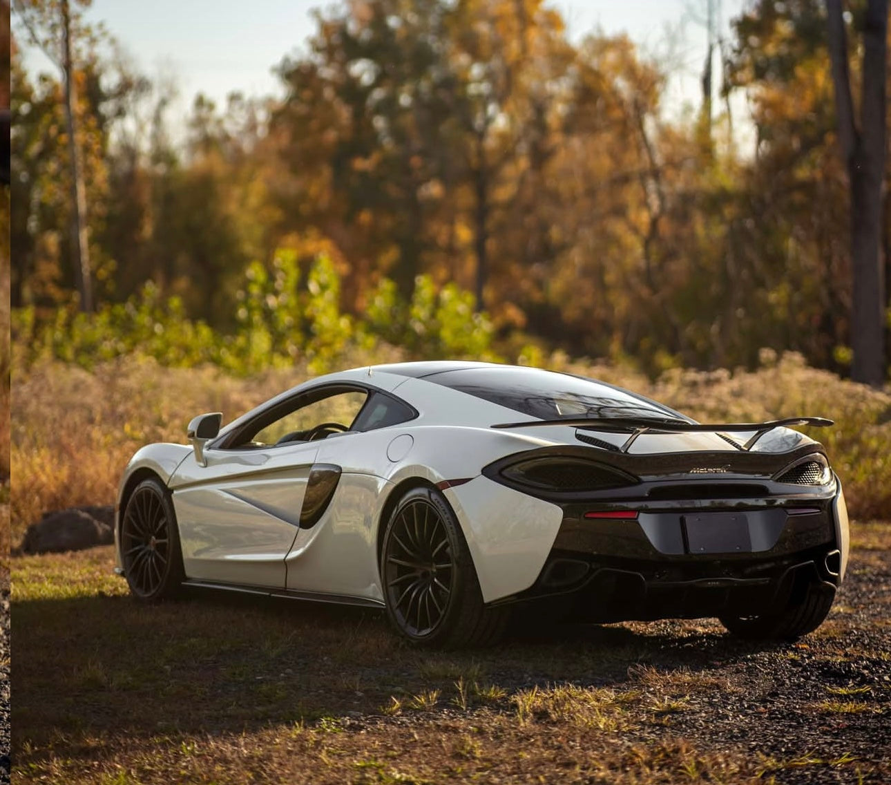 McLaren 570S / 570GT / 540C Carbon Fiber Race Spoiler - Exotics Carbon Design