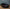 Audi A5 / S5 / RS5 (2018-2024) - Carbon Fiber Race Spoiler - Exotics Carbon Design