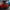Audi RS4 B9 (2018-2024) - Carbon Fiber Roof Spoiler - Exotics Carbon Design