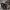 BMW M3 G80 / M4 G82 G83 - Carbon Fiber Track Style Spoiler - Exotics Carbon Design