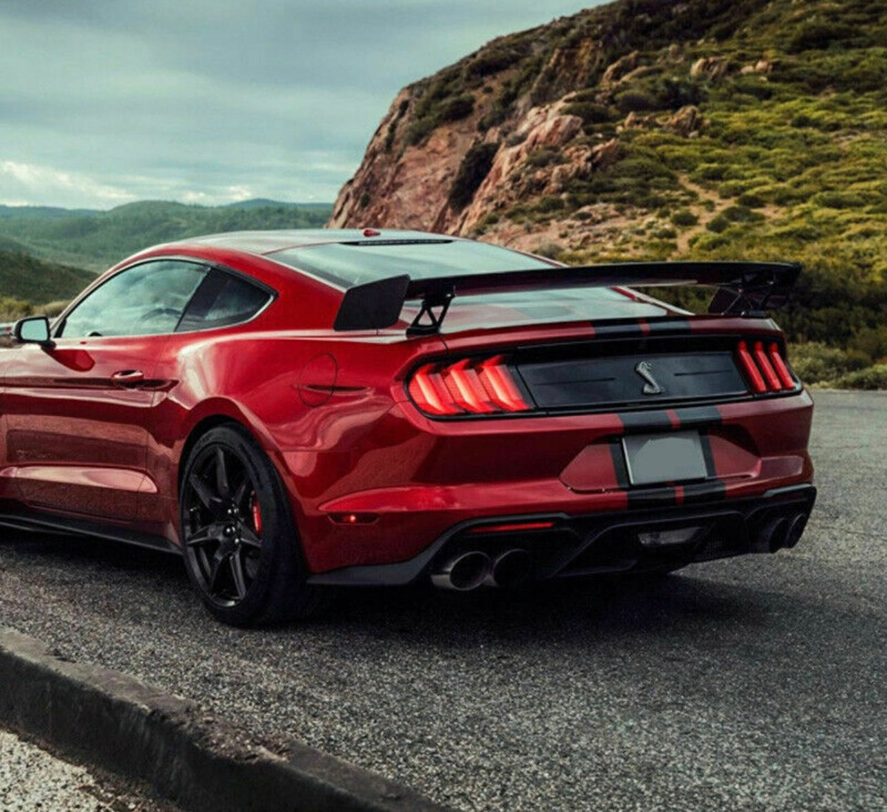 Ford Mustang (2015-2022) - Track Inspired Carbon Fiber Rear Wing - Exotics Carbon Design