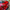 Chevrolet Corvette C8 (2020–2024) - Z51 Style Carbon Fiber Rear Spoiler - Exotics Carbon Design