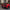 Ferrari SF90 - Carbon Fiber Rear Trunk Spoiler - Exotics Carbon Design