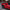 Ferrari SF90 - Carbon Fiber Rear Trunk Spoiler - Exotics Carbon Design