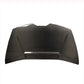 Tecnica-Style Carbon Fiber Bonnet for Lamborghini Huracan LP610 / LP580 / EVO - Exotics Carbon Design