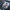 Carbon Fiber Engine Bay Cover – Corvette C8 (2020–2024) - Exotics Carbon Design