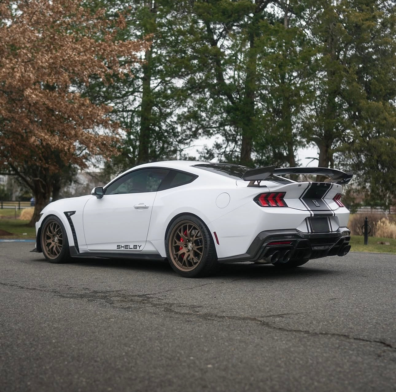 Carbon Fiber High Spoiler Super Snake Style – Ford Mustang (2024+) - Exotics Carbon Design
