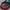 Carbon Fiber Front Hood – Toyota GR Supra A90 / A91 (2020–2024) - Exotics Carbon Design