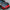 Carbon Fiber Front Hood – Toyota GR Supra A90 / A91 (2020–2024) - Exotics Carbon Design