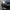 APR Performance Front Bumper Carbon Fiber Canards for 2017+ Nissan GT-R (R35) - Exotics Carbon Design