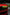 Archaic Colorful DRL Front Light with RGB Animation – Ford Mustang 2024+ - Exotics Carbon Design