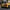 Audi R8 (2016-2024) - Carbon Fiber Track-Inspired Rear Wing - Exotics Carbon Design