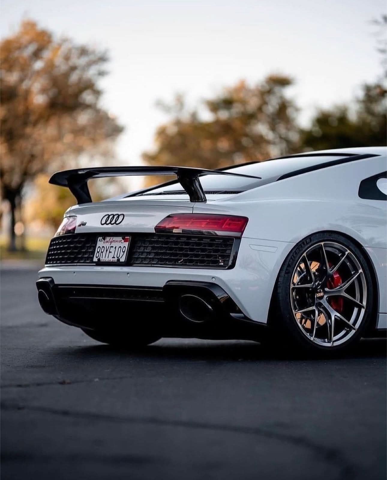 Audi R8 (2016 - 2024) - Carbon Fiber Track - Inspired Rear Wing - Exotics Carbon Design