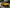 Audi R8 Gen 2 PFL Carbon Fiber Front Canards - Exotics Carbon Design