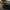 Audi R8 Gen 3 (2020+) - GT4 Style Carbon Fiber Full Body Kit - Exotics Carbon Design
