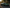 Audi R8 Gen 3 (2020+) - GT4 Style Carbon Fiber Full Body Kit - Exotics Carbon Design