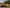 Audi R8 y - Pre-Preg Carbon Fiber Capristo Style Front Canards - Exotics Carbon Design