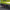 BMW G80 M3 / G82 M4 (2021–2025) – 2 in 1 Carbon Fiber Rear Diffuser - Exotics Carbon Design
