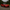 BMW G80 M3 / G82 M4 OEM Style Carbon Fiber Side Skirts - Exotics Carbon Design