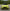 BMW G80 M3 / G82 M4 OEM Style LED Headlights - Exotics Carbon Design