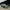 BMW M3 F80 / M4 F82 – Carbon Fiber Vented Front Hood - Exotics Carbon Design