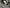 Carbon Fiber Door Sills - McLaren 720S (2017–2023) - Exotics Carbon Design