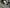 Carbon Fiber Door Sills - McLaren 720S (2017–2023) - Exotics Carbon Design