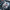 Carbon Fiber Engine Bay Cover – Corvette C8 (2020–2024) - Exotics Carbon Design