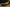 Carbon Fiber Front Hood – Lamborghini Urus (2018–2022) - Exotics Carbon Design