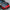 Carbon Fiber Front Hood – Toyota GR Supra A90 / A91 (2020–2024) - Exotics Carbon Design