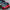 Carbon Fiber Front Hood – Toyota GR Supra A90 / A91 (2020–2024) - Exotics Carbon Design