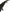 Carbon Fiber High Wing - Chevrolet Corvette C8 (2020–2024) - Exotics Carbon Design