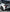 Carbon Fiber High Wing - Chevrolet Corvette C8 (2020–2024) - Exotics Carbon Design